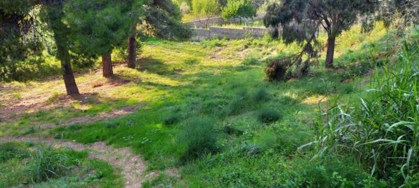 Terreno en Mas d'en Gall photo 4