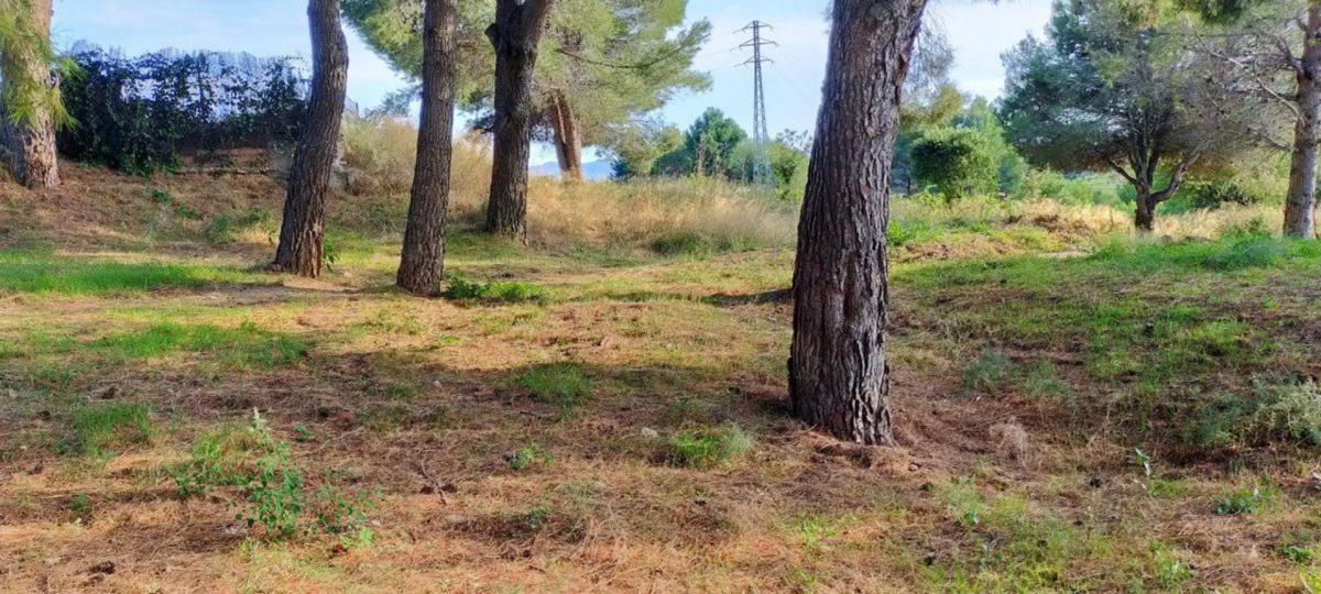 Terreno en venta en Esparreguera, Barcelona photo 5