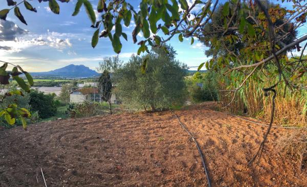 Terreno en avenida Moreneta, 2 photo 4