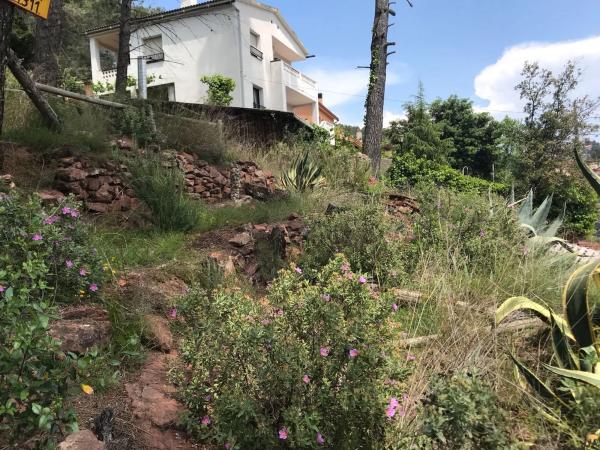 Terreno en Ginesta photo 2