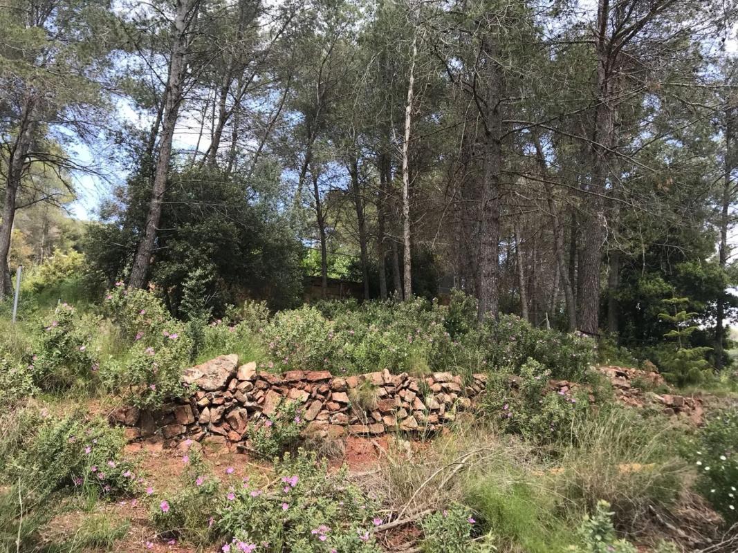 Terreno en venta en Corbera de Llobregat, Barcelona photo 3