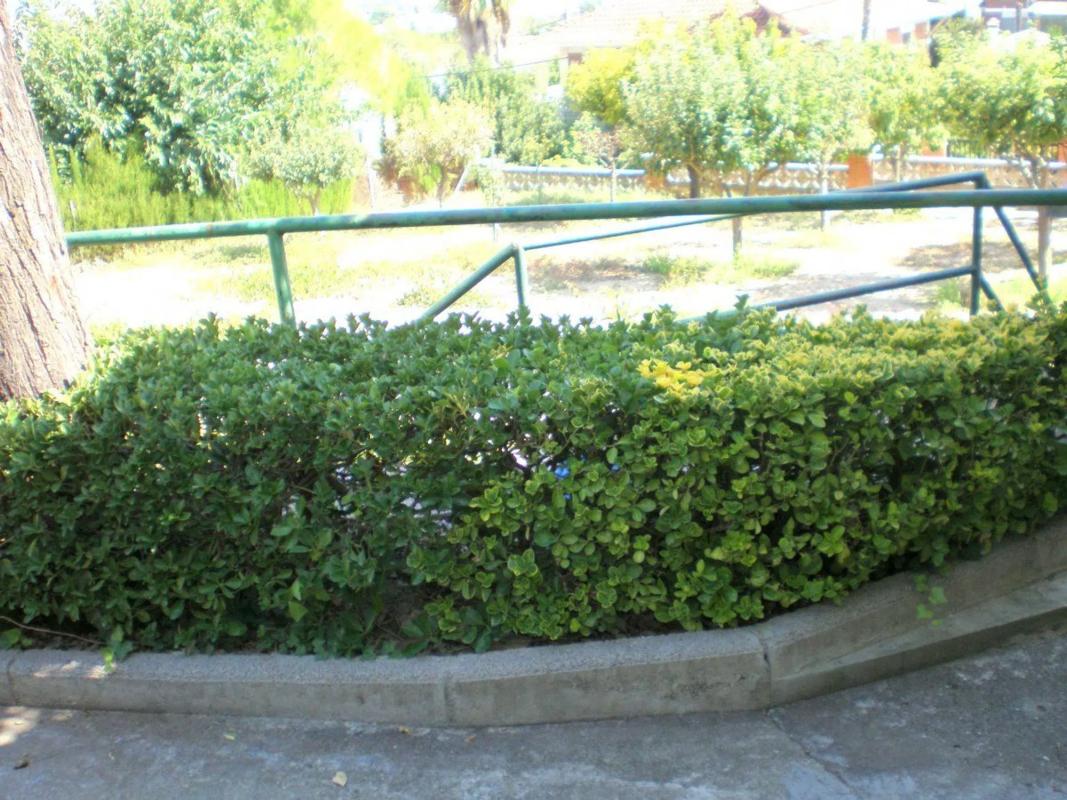 Terreno en venta en Esparreguera, Barcelona photo 4