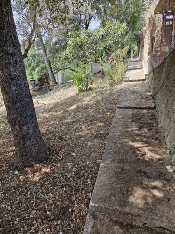 Terreno en venta en Cervelló, Barcelona photo 2