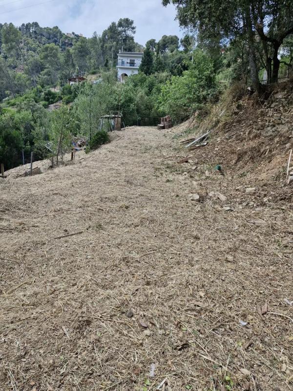 Terreno en venta en Cervelló, Barcelona photo 4