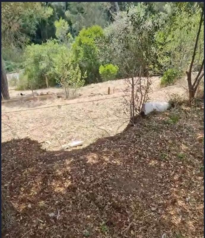 Terreno en venta en Cervelló, Barcelona photo 5