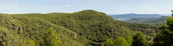 Terreno en calle Comtes de Pallars, 20 photo 1
