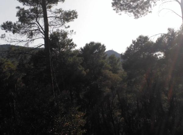 Terreno en Corbera de Llobregat photo 1