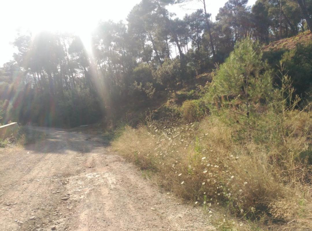 Terreno en venta en Corbera de Llobregat, Barcelona photo 2