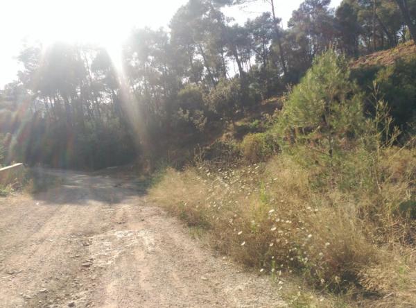 Terreno en Corbera de Llobregat photo 2