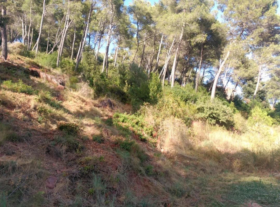 Terreno en venta en Corbera de Llobregat, Barcelona photo 3