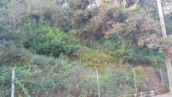 Terreno en xarel.lo, 14 photo 2