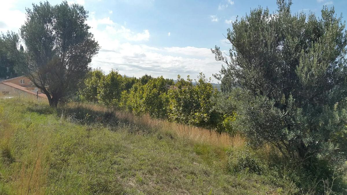 Land for sale in Olesa de Montserrat, Barcelona photo 5