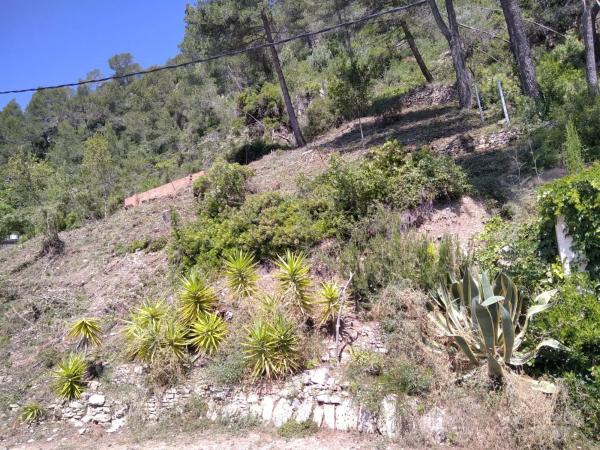 Terreno en calle Puigmal, 31 photo 4