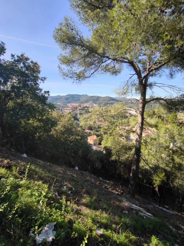 Terreno en venta en Cervelló, Barcelona photo 3