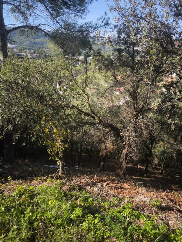 Terreno en venta en Cervelló, Barcelona photo 5