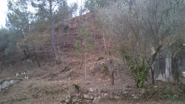 Terreno en avenida dels Pins, 60 thumbnail 2