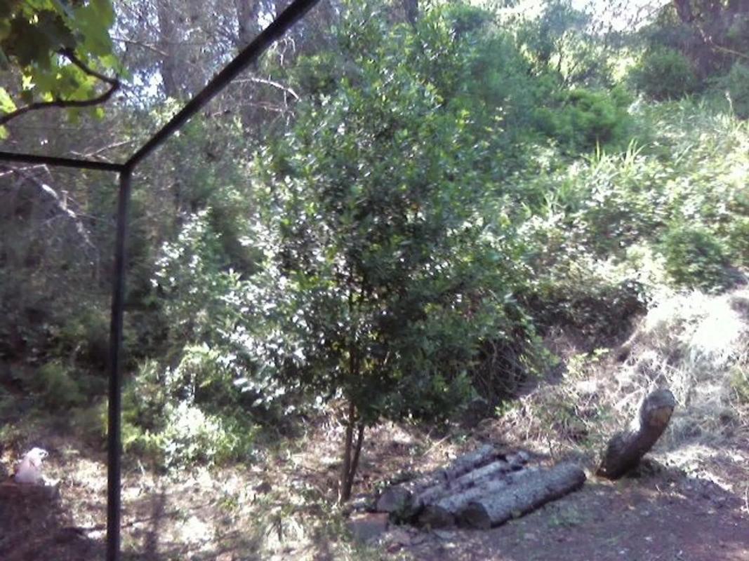 Terreno en venta en Corbera de Llobregat, Barcelona photo 3