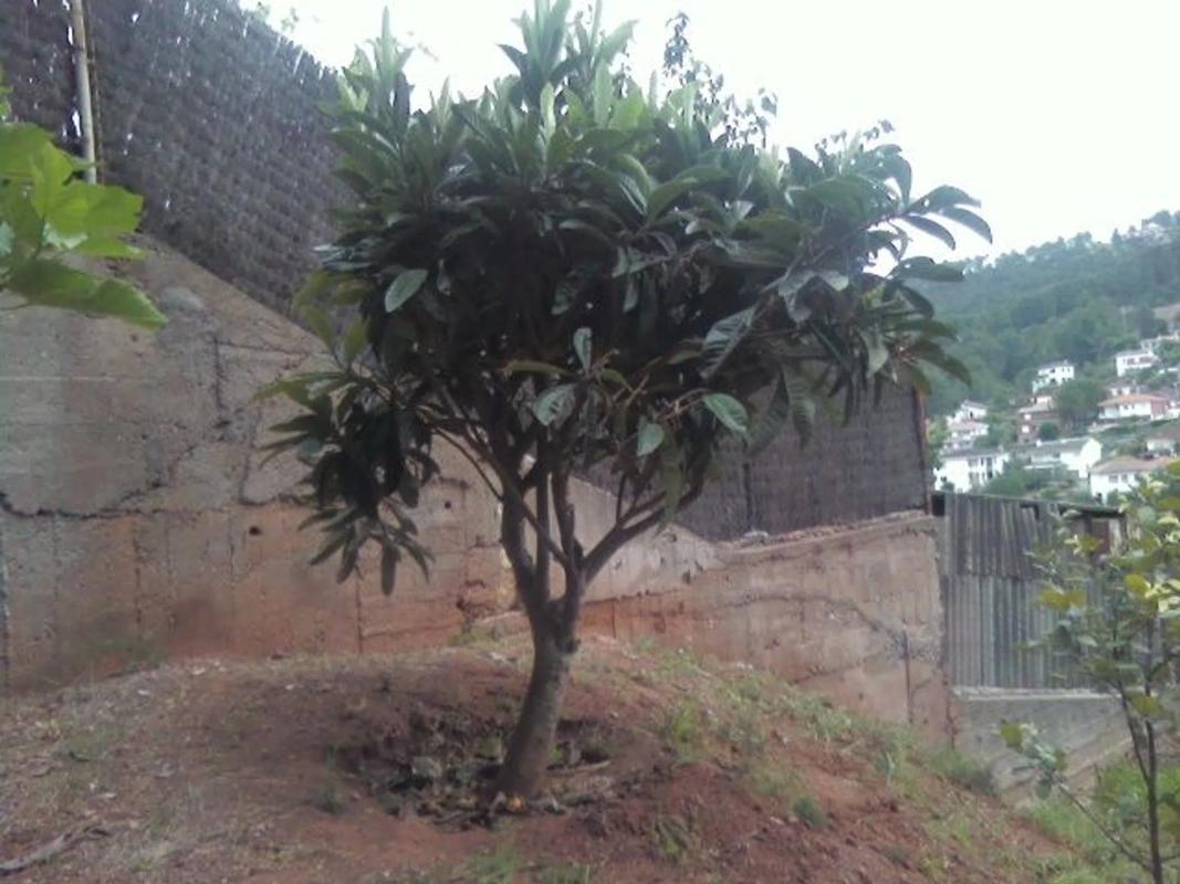Terreno en venta en Corbera de Llobregat, Barcelona photo 4