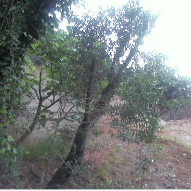Terreno en venta en Corbera de Llobregat, Barcelona photo 5