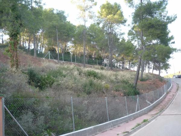 Terreno en calle 3 s/n photo 3