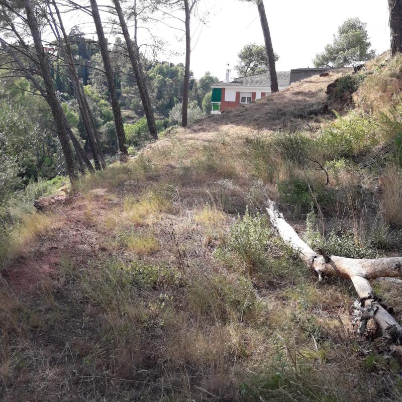 Terreno en venta en Castellví de Rosanes, Barcelona photo 2