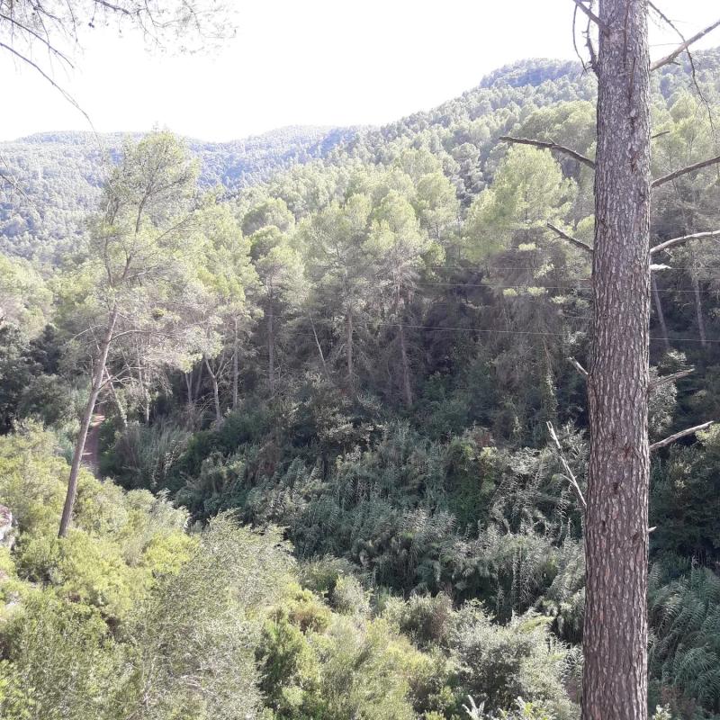 Terreno en venta en Castellví de Rosanes, Barcelona photo 3