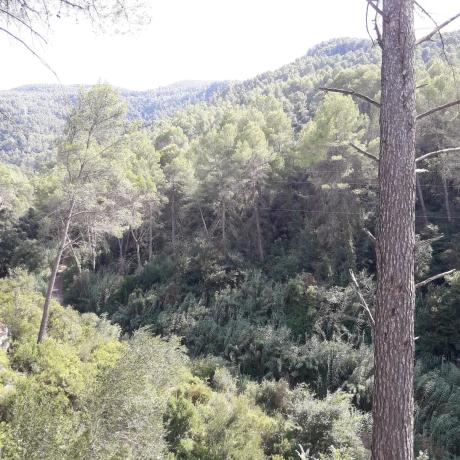 Terreno en avenida del Taió, 20 photo 3