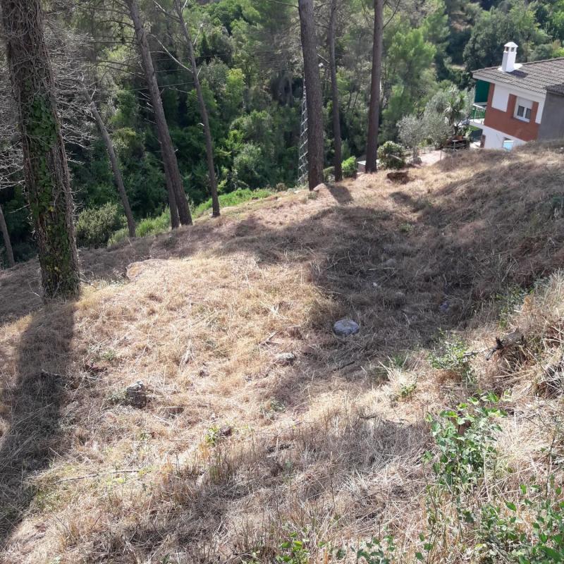 Terreno en venta en Castellví de Rosanes, Barcelona photo 4