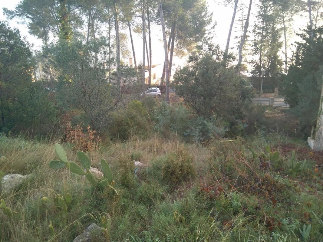 Terreno en venta en Corbera de Llobregat, Barcelona photo 1