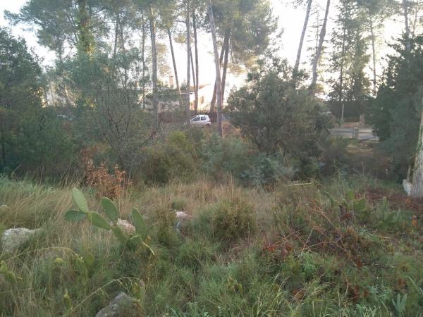 Terreno en sant ponç photo 1