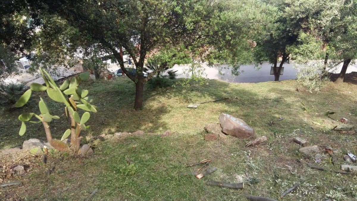 Land for sale in Corbera de Llobregat, Barcelona photo 4