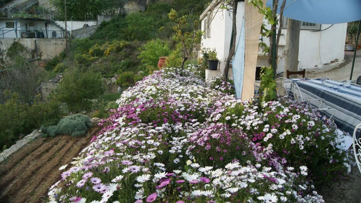 Terreno en venta en Corbera de Llobregat, Barcelona photo 2
