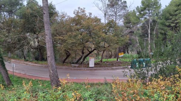 Terreno en avenida de les Cases Pairals, 125 thumbnail 2