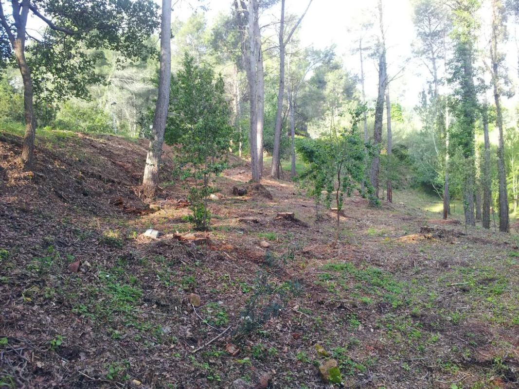 Terreno en venta en Corbera de Llobregat, Barcelona photo 4