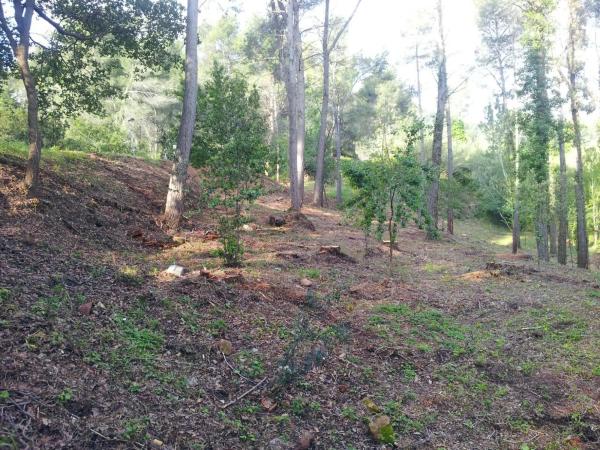 Terreno en avenida de les Cases Pairals, 125 photo 4