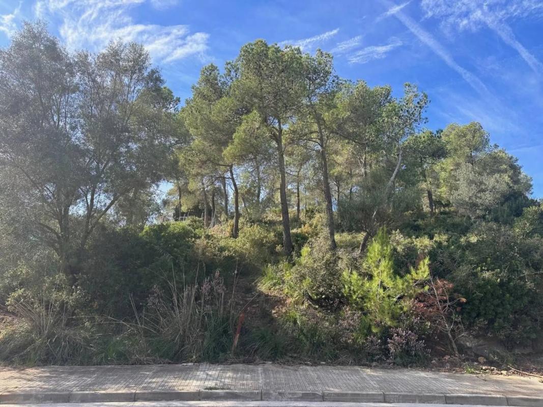 Terreno en venta en Begues, Barcelona photo 1