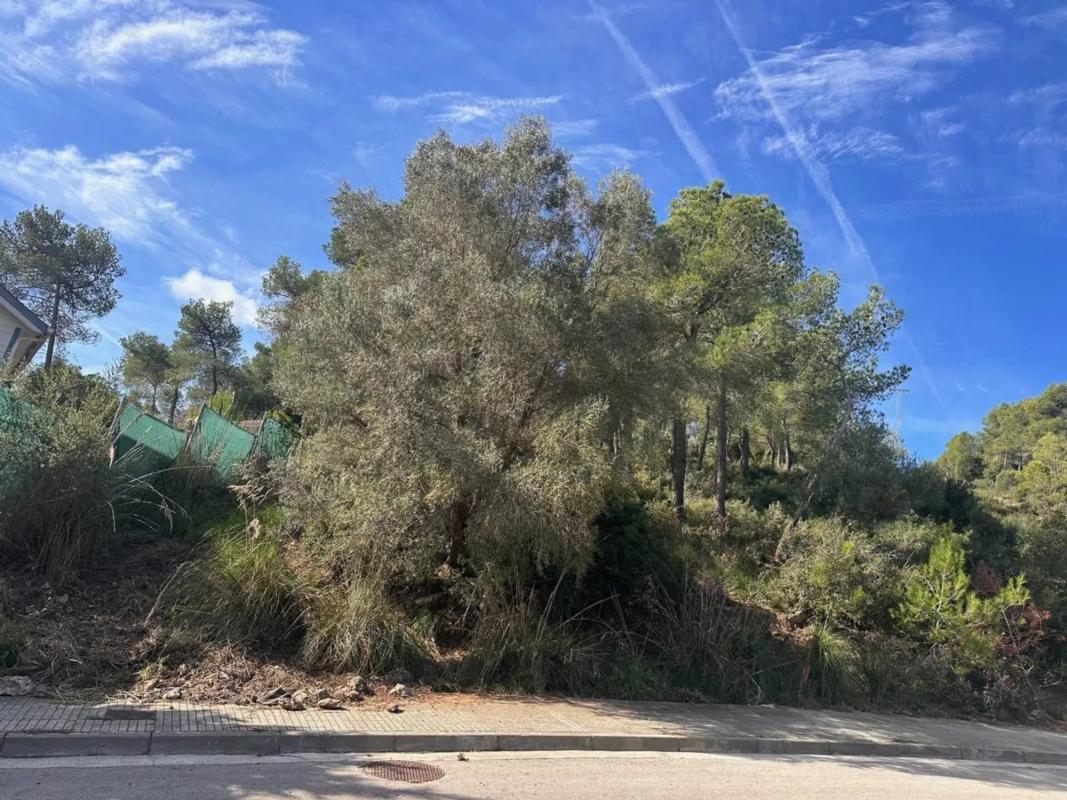 Terreno en venta en Begues, Barcelona photo 5