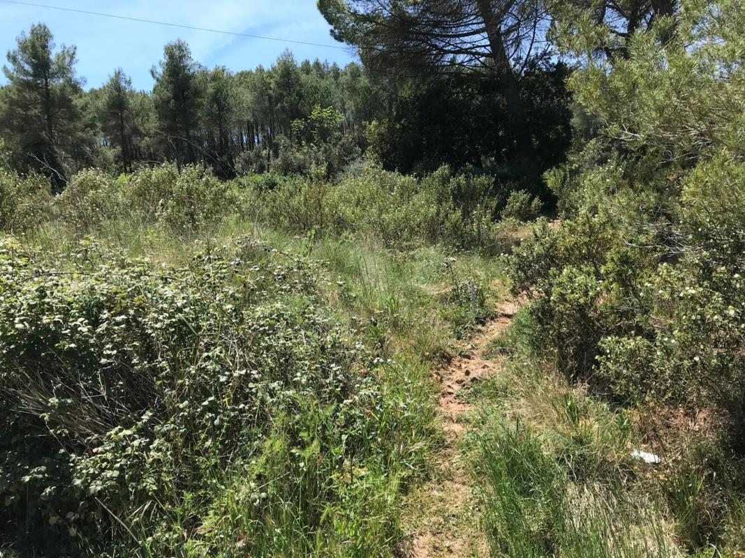 Terreno en venta en Begues, Barcelona photo 2