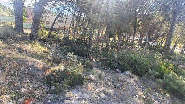 Terreno en avenida Costeta s/n thumbnail 1