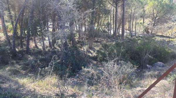 Terreno en avenida Costeta s/n thumbnail 2