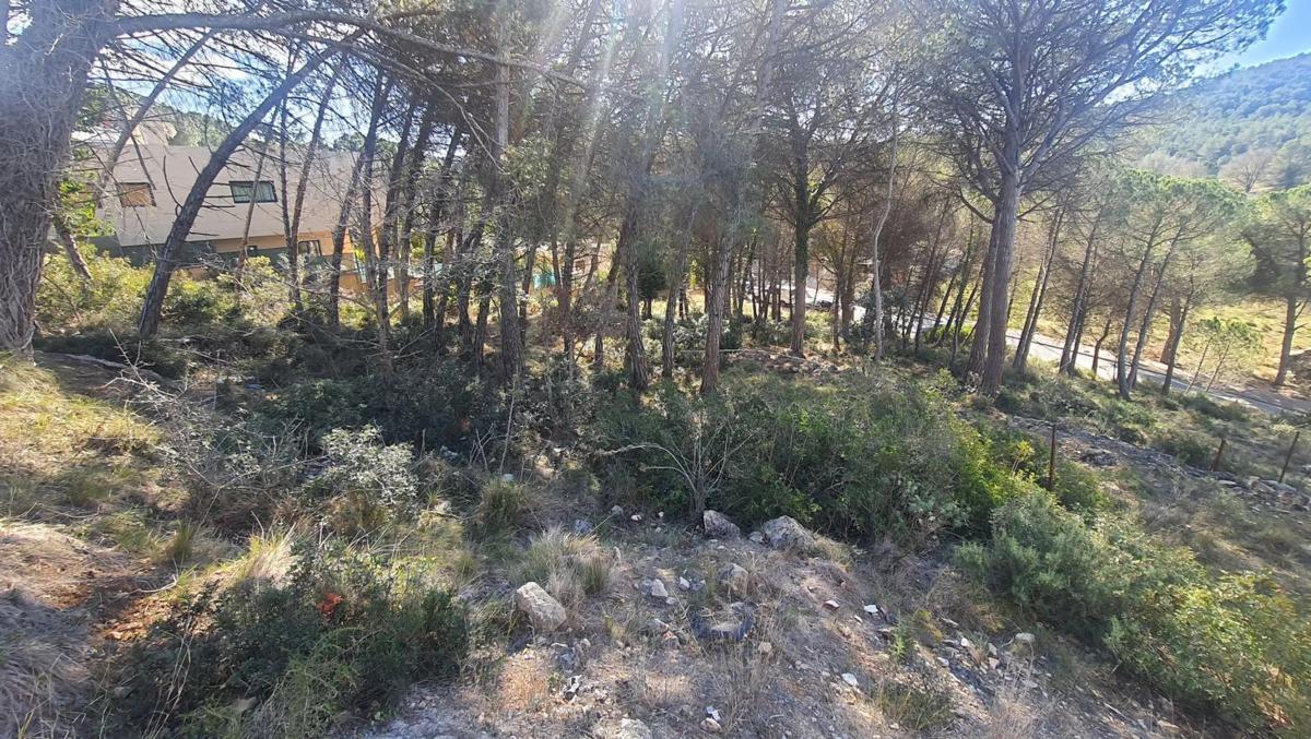 Terreno en venta en Begues, Barcelona photo 5