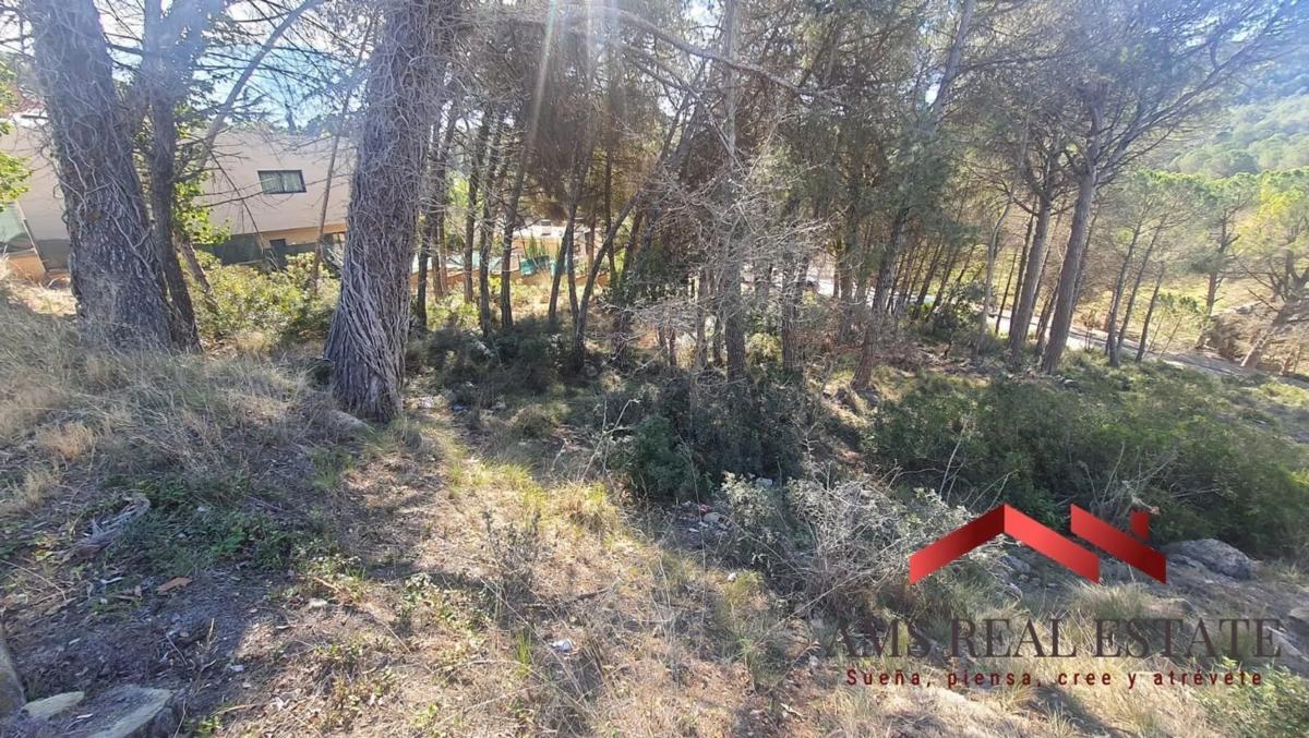 Terreno en venta en Begues, Barcelona photo 2