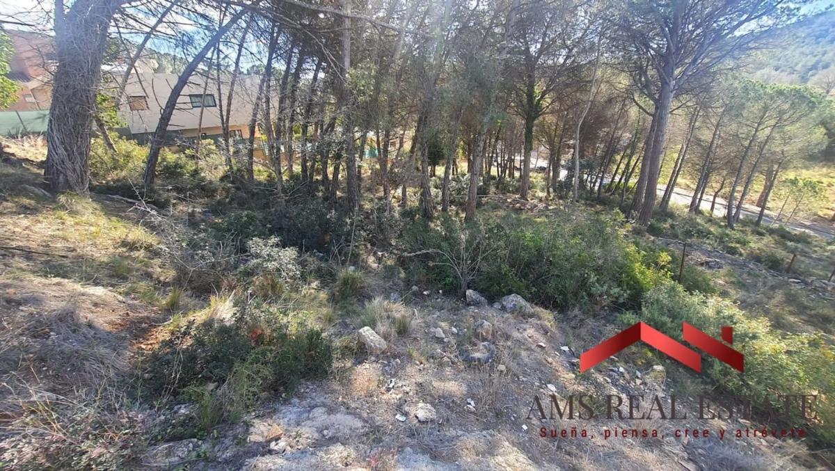 Terreno en venta en Begues, Barcelona photo 3