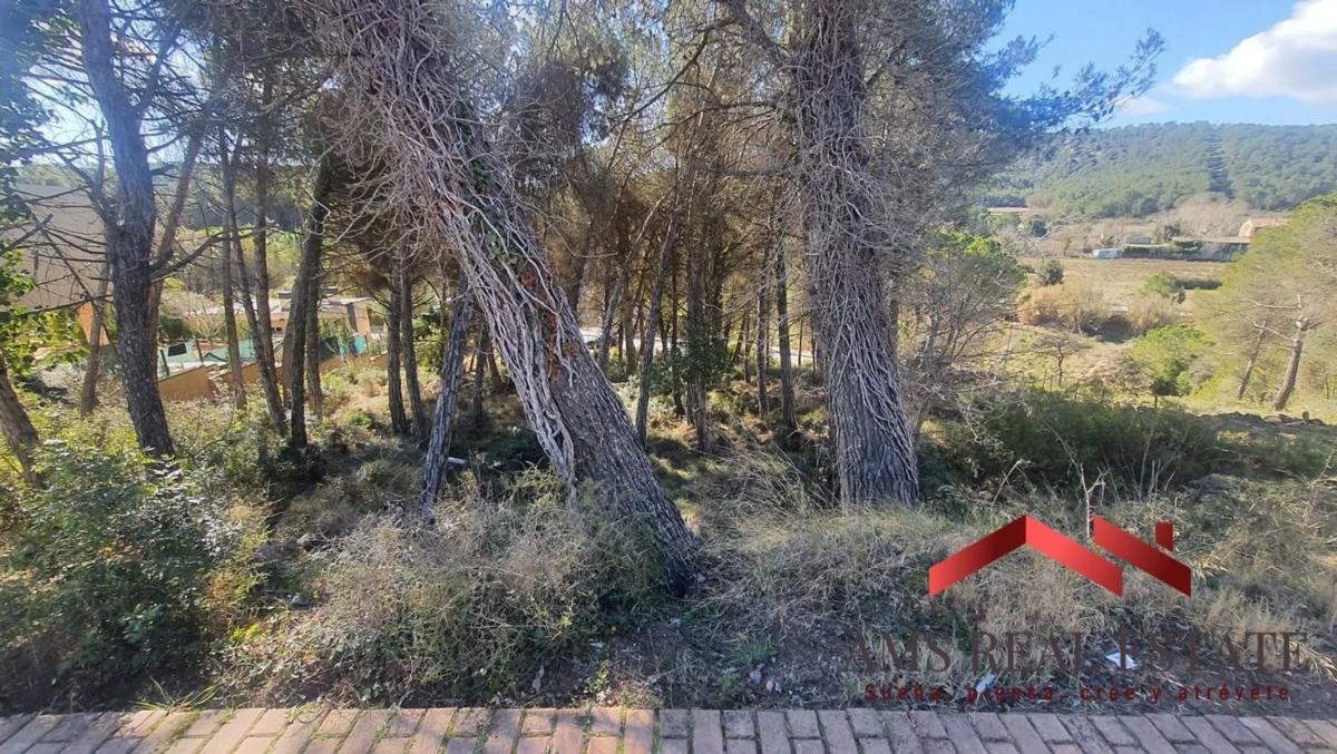 Terreno en venta en Begues, Barcelona photo 4
