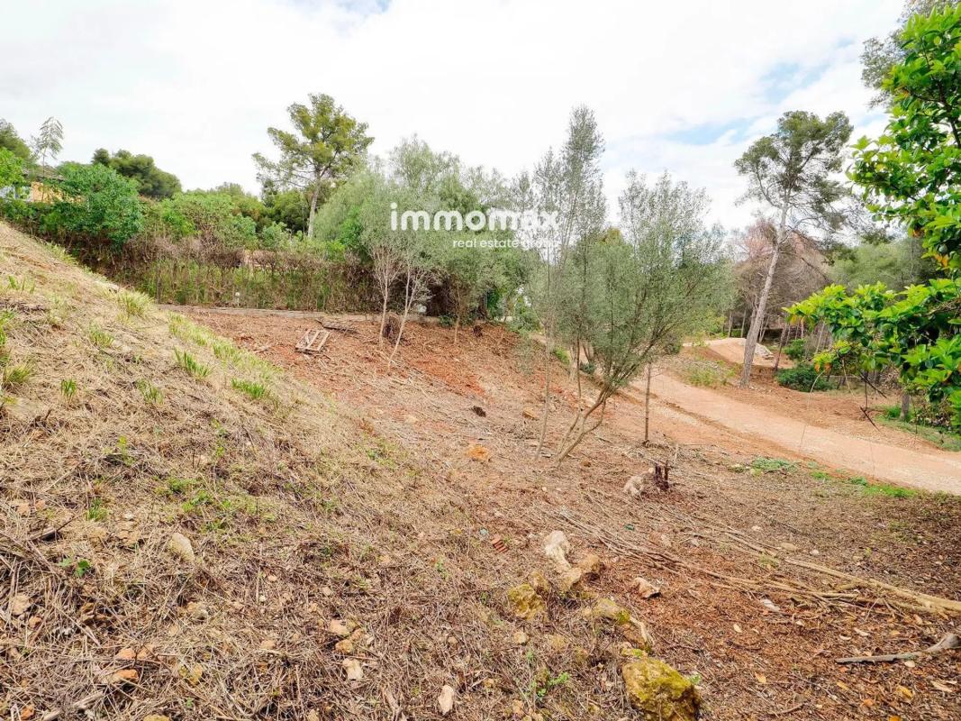 Land for sale in Castelldefels, Barcelona photo 5