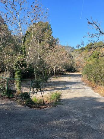 Terreno en carretera de Begues photo 1