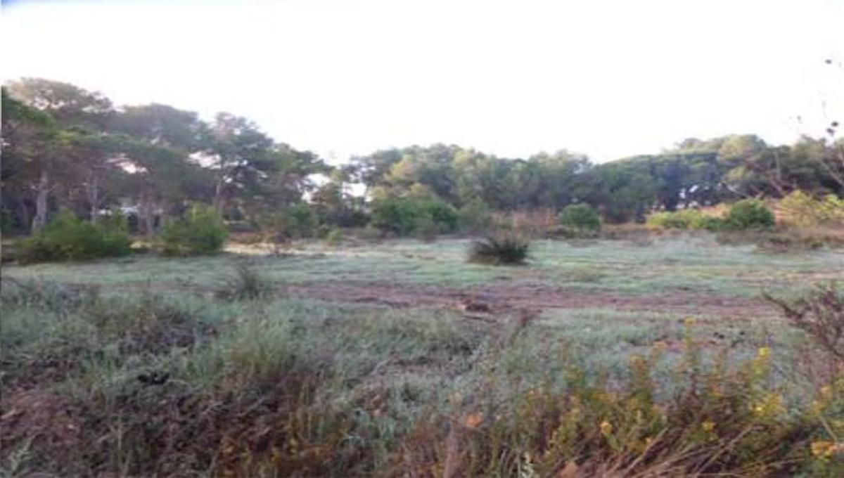 Terreno en venta en Gavà, Barcelona photo 4