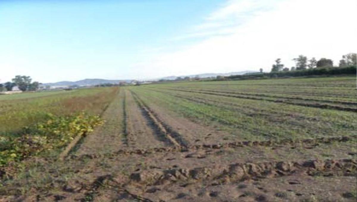 Terreno en venta en Gavà, Barcelona photo 5
