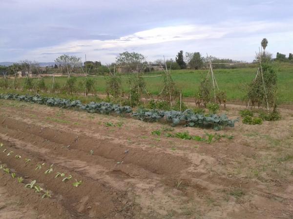 Terreno en camino de les Parets a la Murtra, 1 photo 1