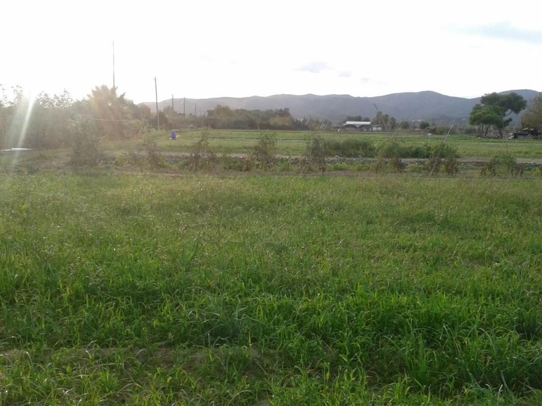Terreno en venta en Gavà, Barcelona photo 3